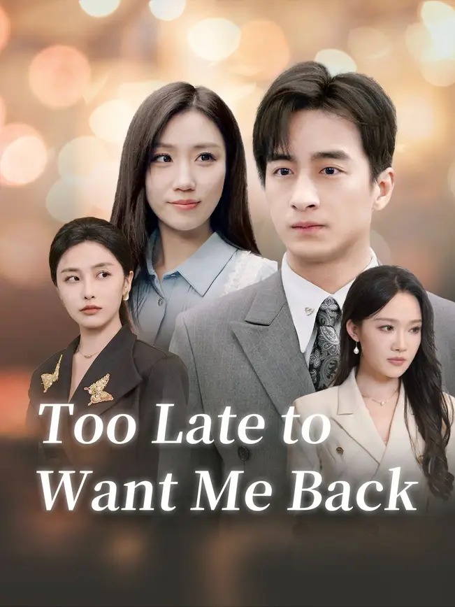 Too Late to Want Me Back tv-series-poster-1
